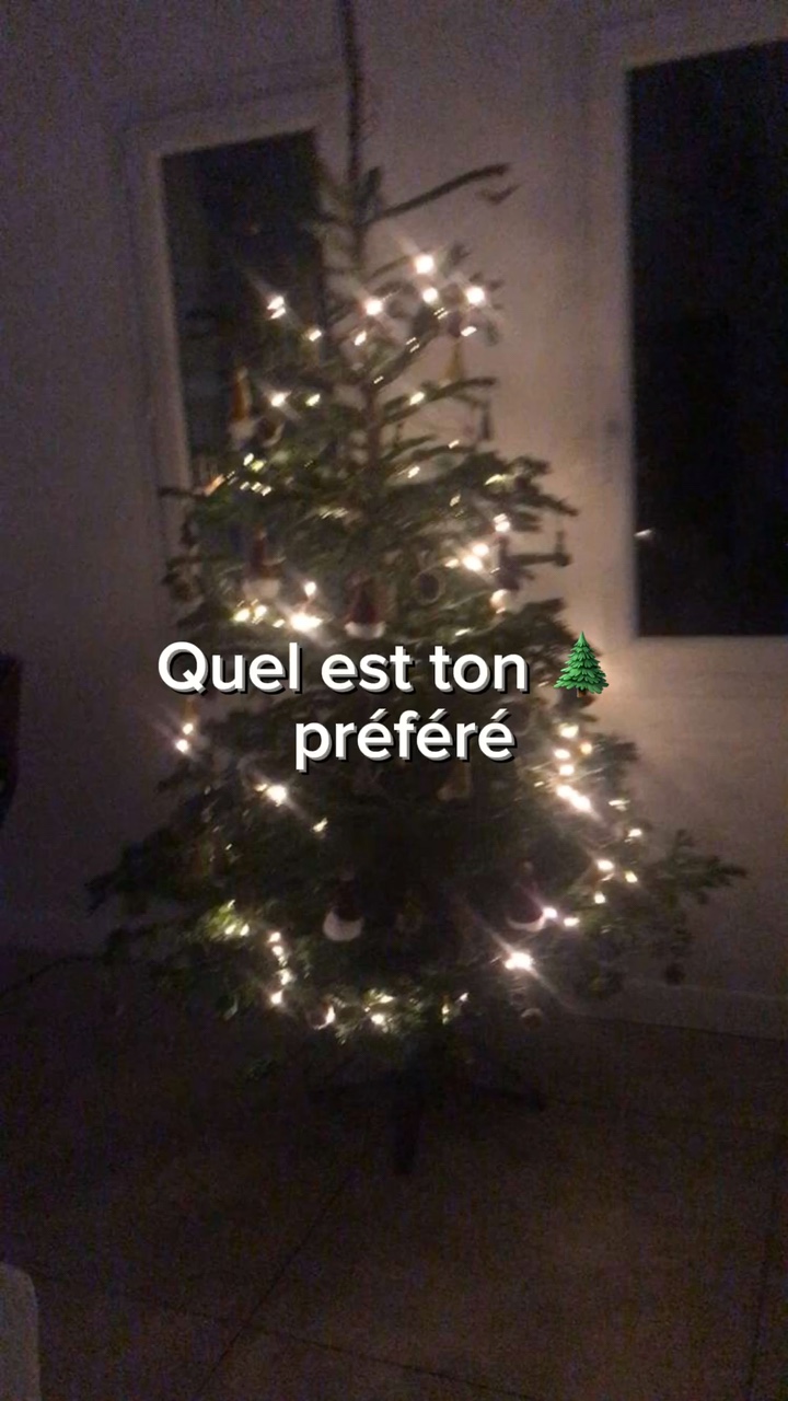 Mon sapin préféré 