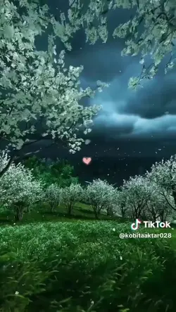 Add 1 clip