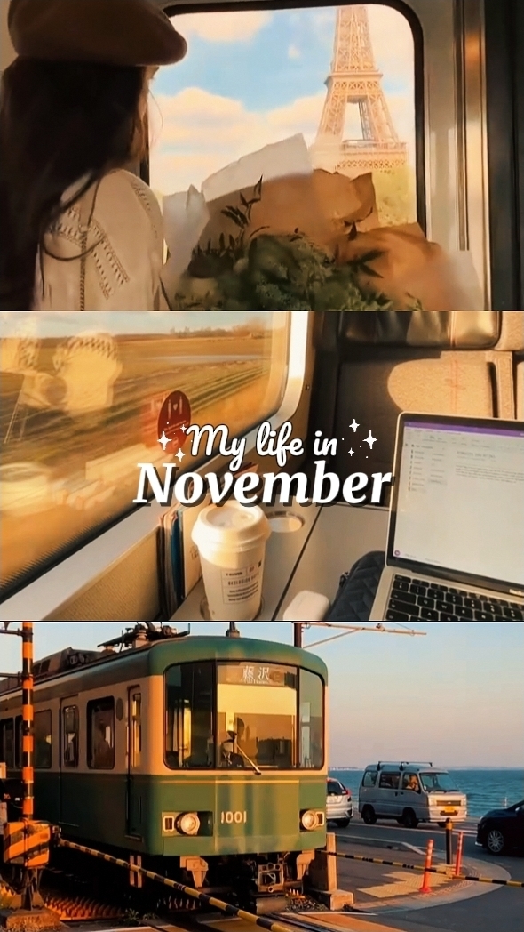 Ma vie en novembre 