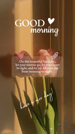 Good Morning 🤍