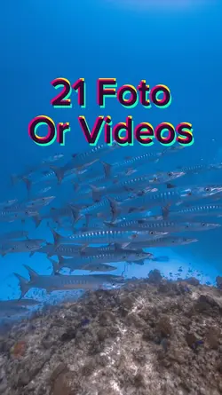 21 video slides