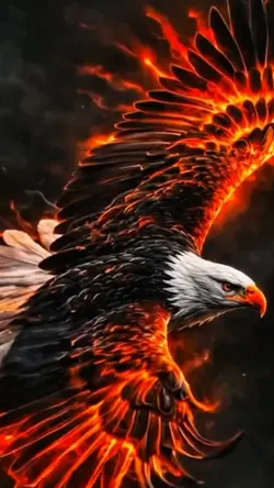 Fire eagle #3