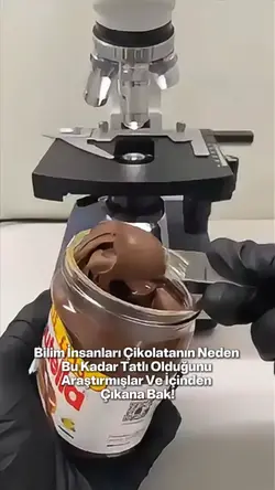 Sevgi Şablonu