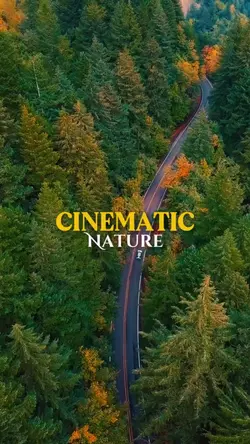 Cinematic Nature