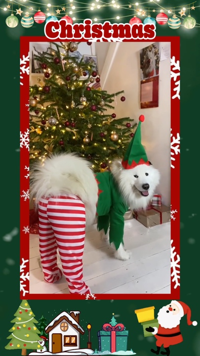 Mascota navideña