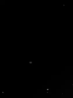 Frases de crias?🫡