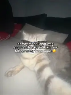 damay mo lahat