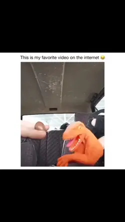 dinosaur