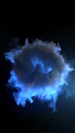 cloud portrait ¹⁹