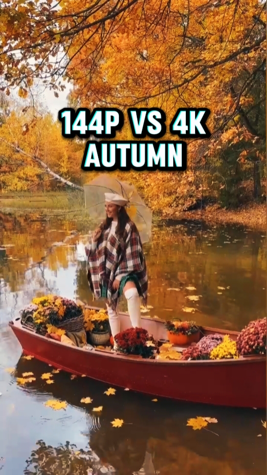 144p to 4k autumn