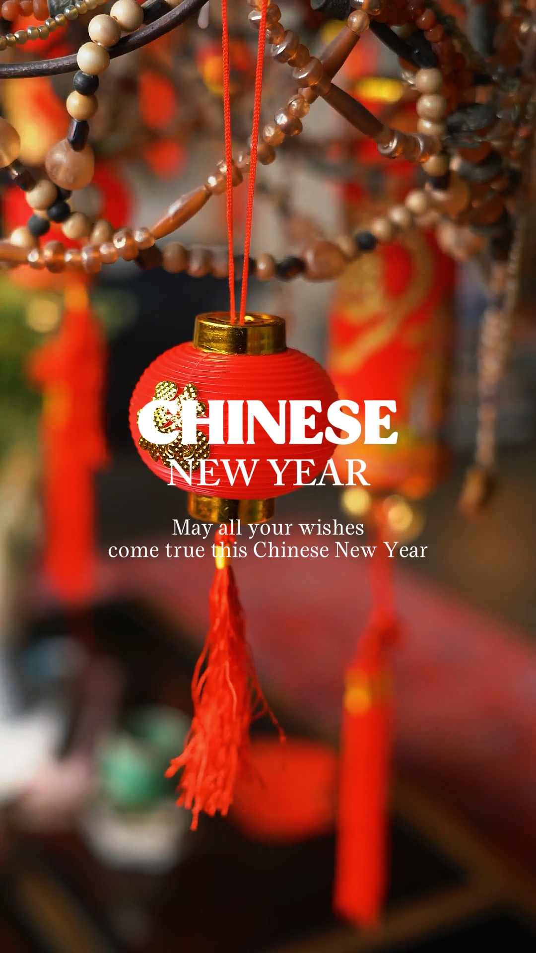CHINESE NEW YEAR