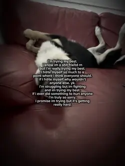 im sorry. im trying.