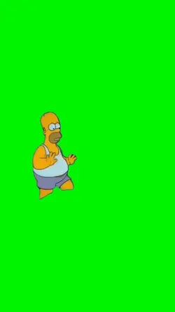 Homer Simpson 
