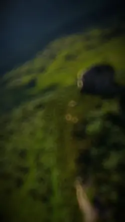 Você vai ver