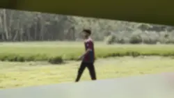 hindi cinematic new 