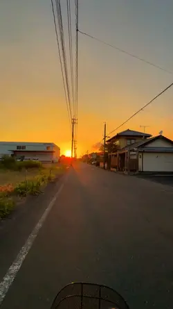 Aesthetic senja HD