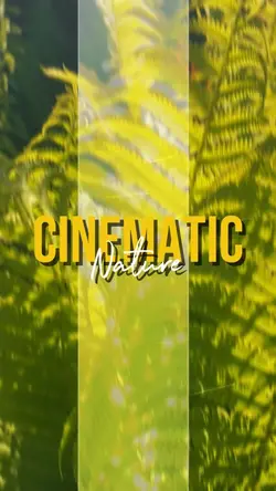 CINEMATIC NATURE
