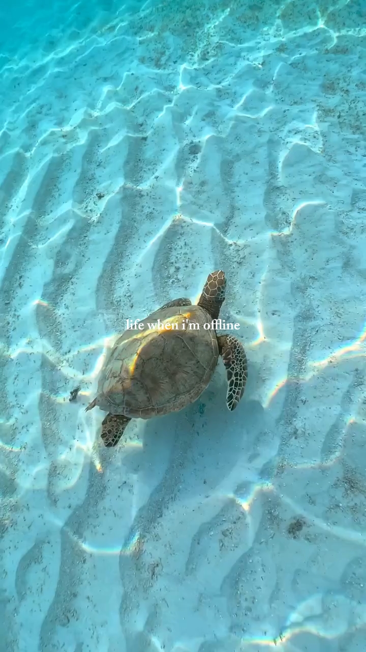 kapag offline ako
