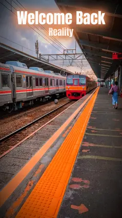 Welcome Back Reality