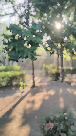 Stay With Me