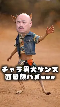 チャラ男犬ダンス面白顔ハメwww