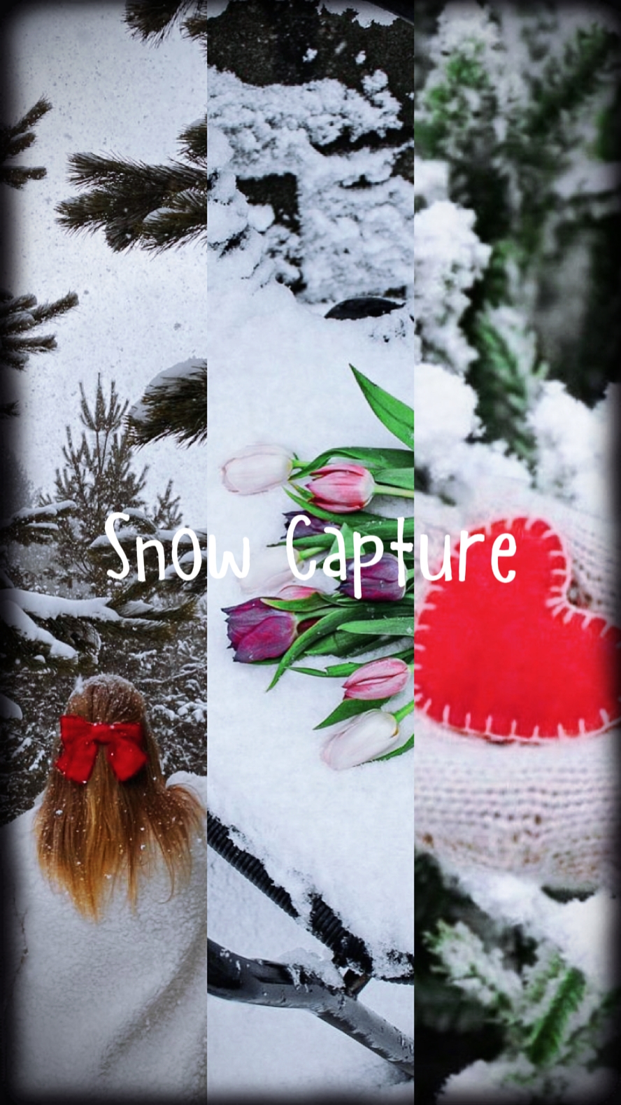 Captura De Nieve