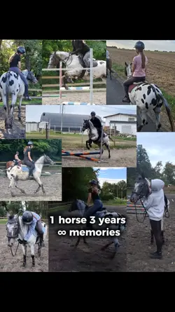 Zapomniałam wrzucić 