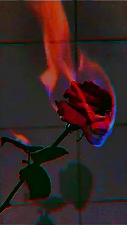 Réincarnation 