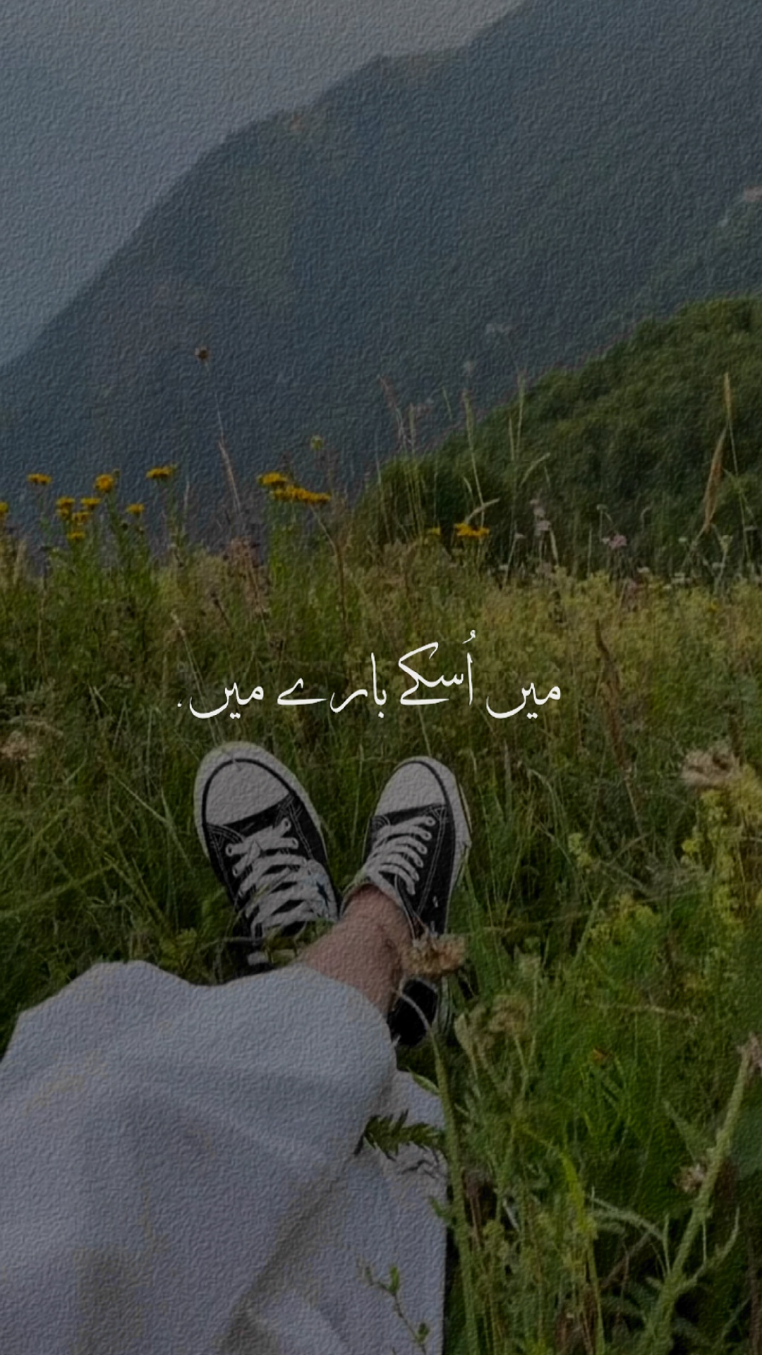 Tehzeeb Haafi ❤️‍🩹