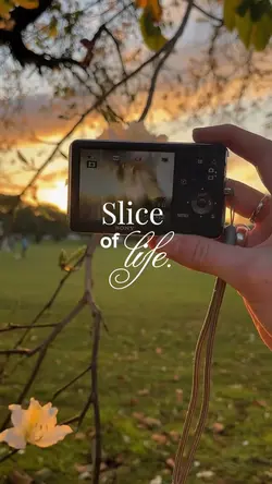slice of life