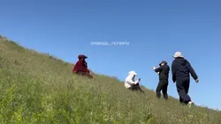 Ждут момента 