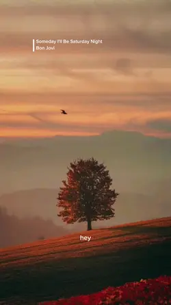 Someday I'll Be ....
