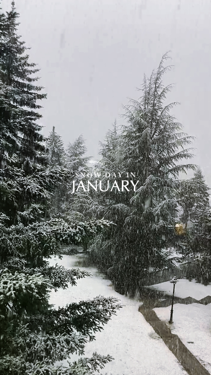 snow vlog