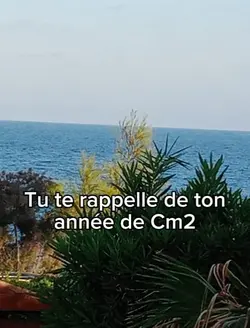 le cm2 ...