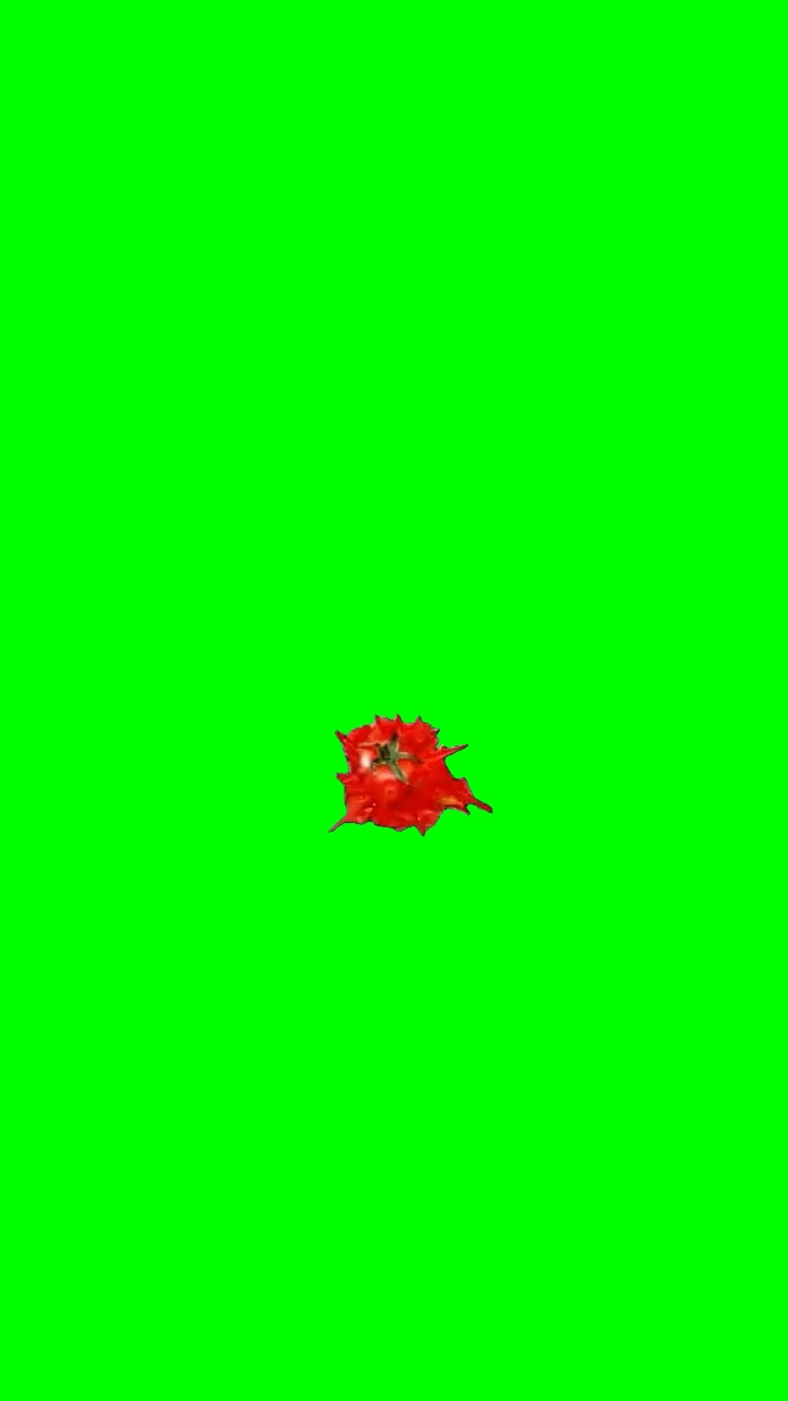 THROWN TOMATO SPLAT