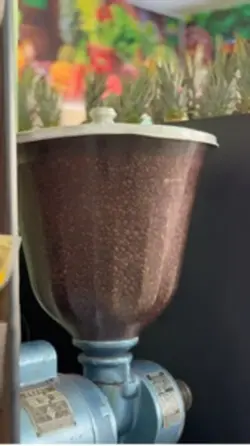 Hortifruti 