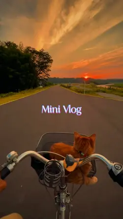 Mini vlog
