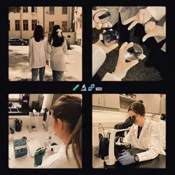 laboratory