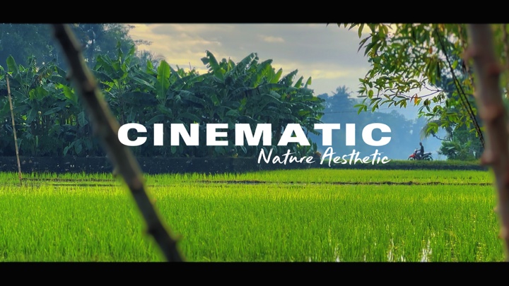 Naturaleza Cinemática