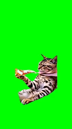CAT EATING PIZZA