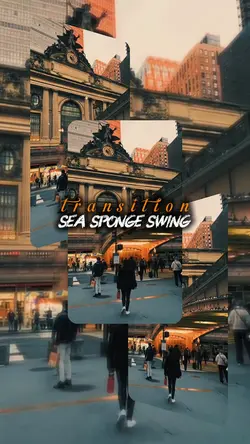 SEA SPONGE SWING