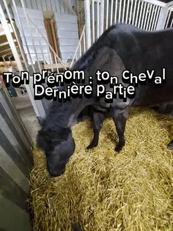 Ton nom ton cheval 