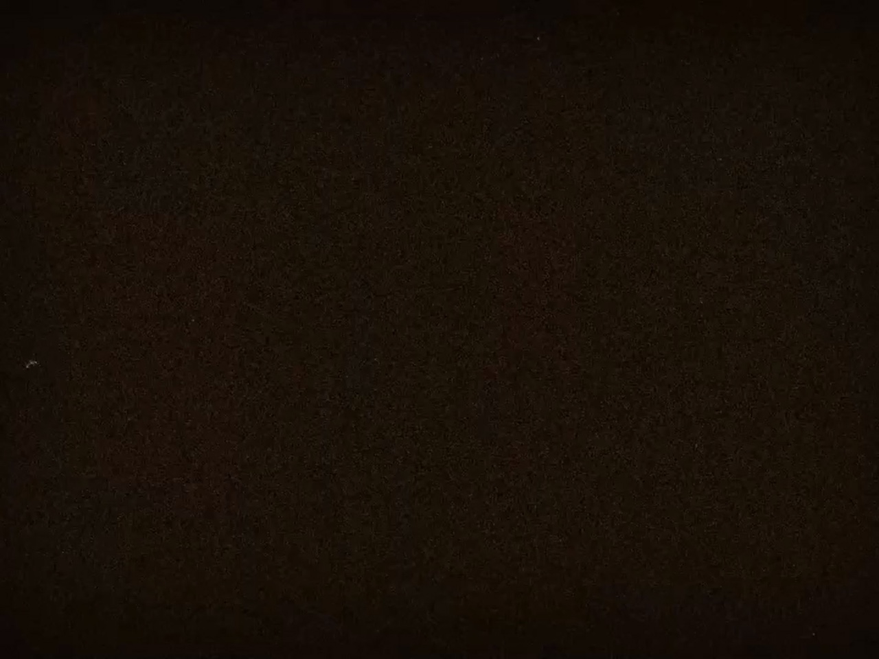 Sí o no