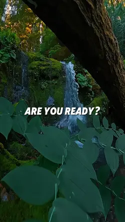 8 Clips - You Ready 
