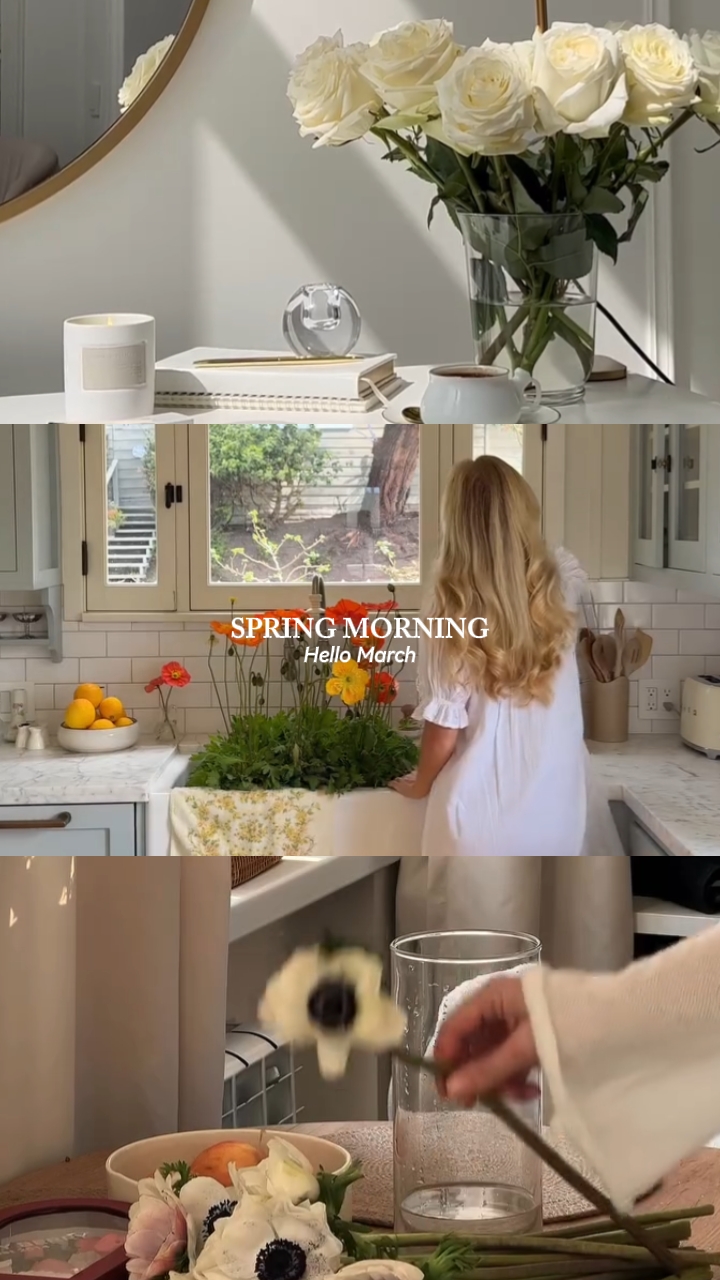 spring morning 