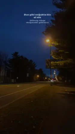 Buz Gibi Soğukta Biz