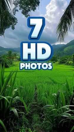 7 HD PHOTOS 