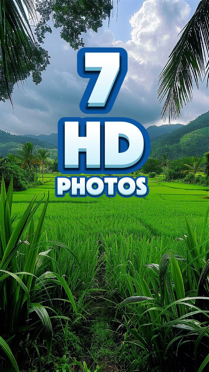 7 HD PHOTOS 
