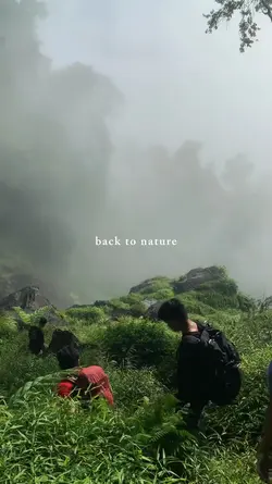 back to nature
