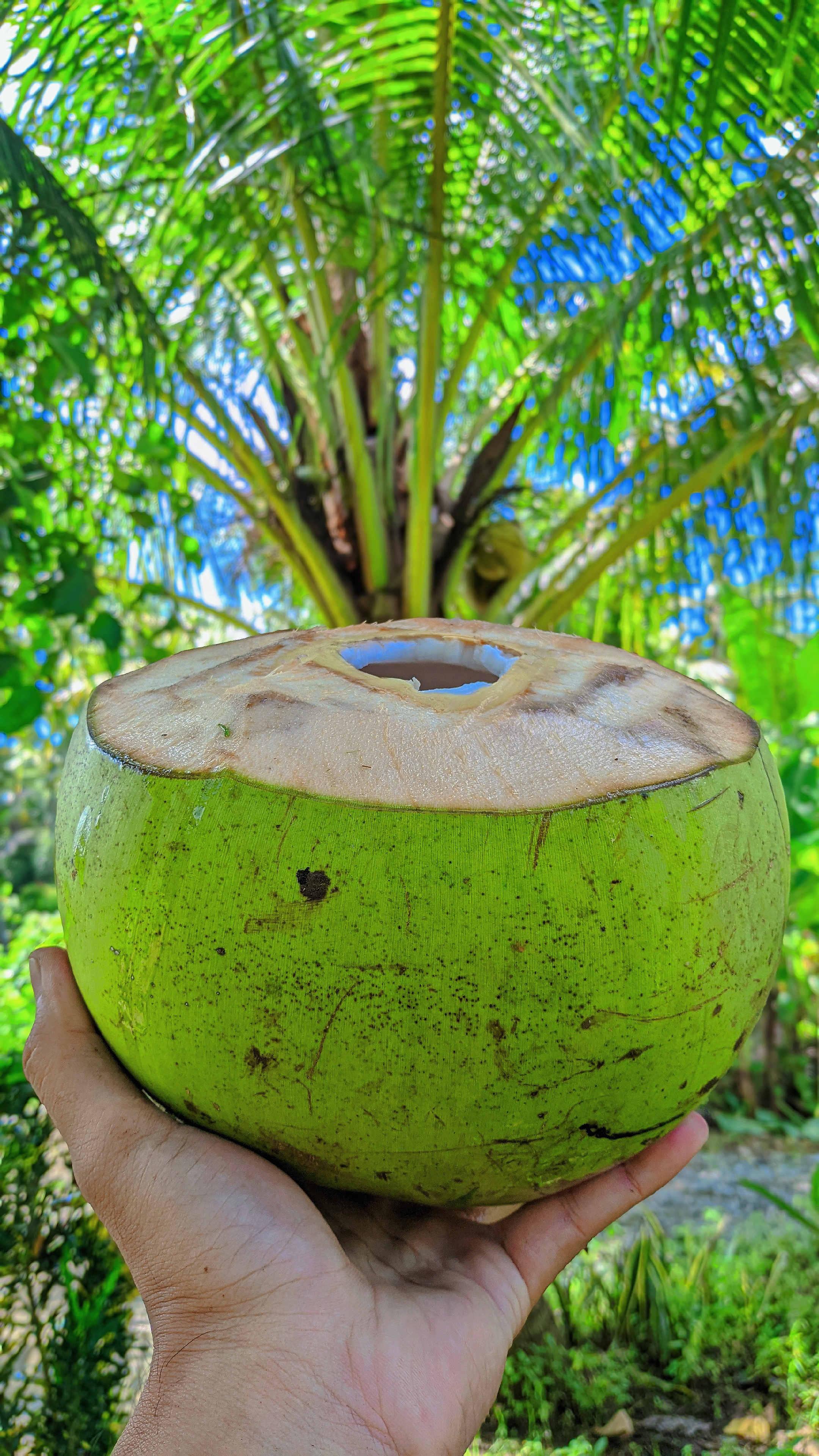 Cover Picture